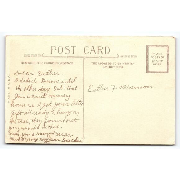 Vintage Christmas Greetings Postcard with Birds & Holly Decoration - Picture 2 of 2